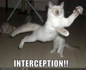 funny-pictures-cat-intercepts