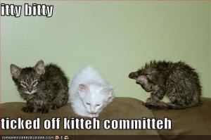 A day of freezing rain equals three days of kitties in the Police Department.