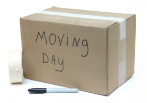 moving-day-ngrd47