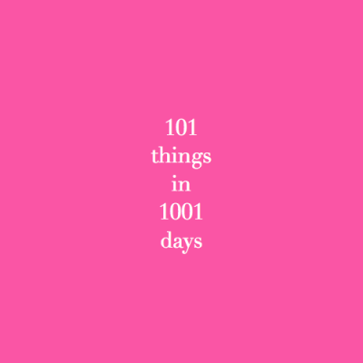101 things in 1001 days