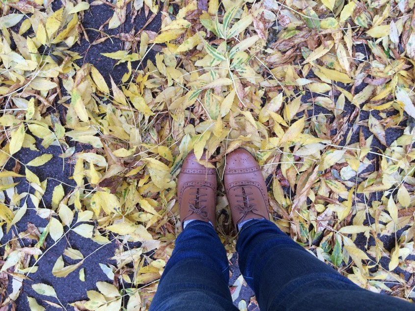 2015-10-24 14.45.34-1