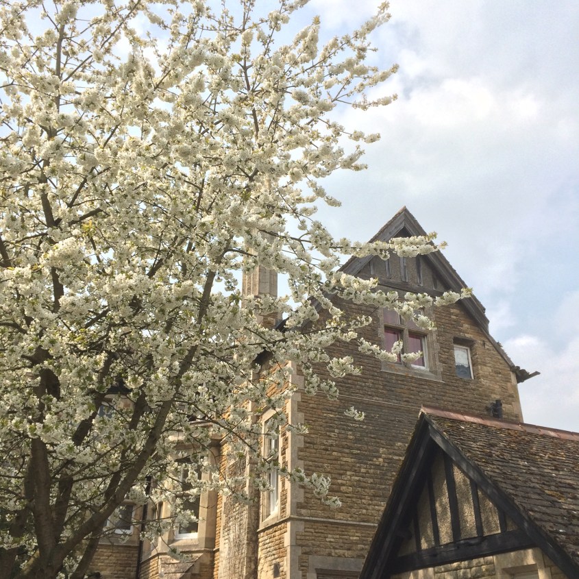 2016-05-07 13.52.32 HDR-2